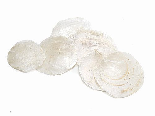 NACRE BLANCHE NATURELLE_500g_SC9855-00